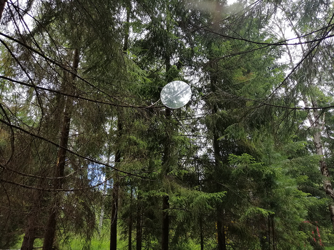 Sky_Forest